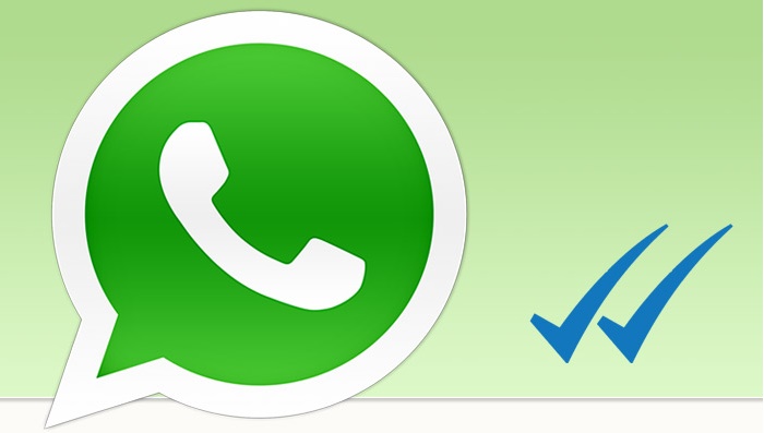 download app whatsapp for pc download app whatsapp for pc