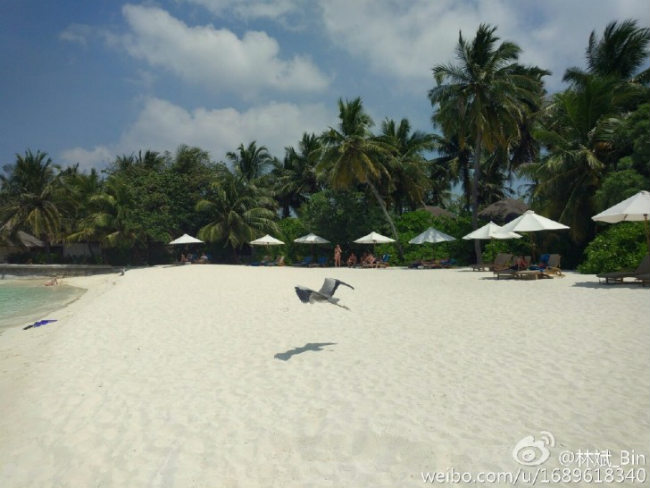 First camera samples of Xiaomi Mi 5 Revealed