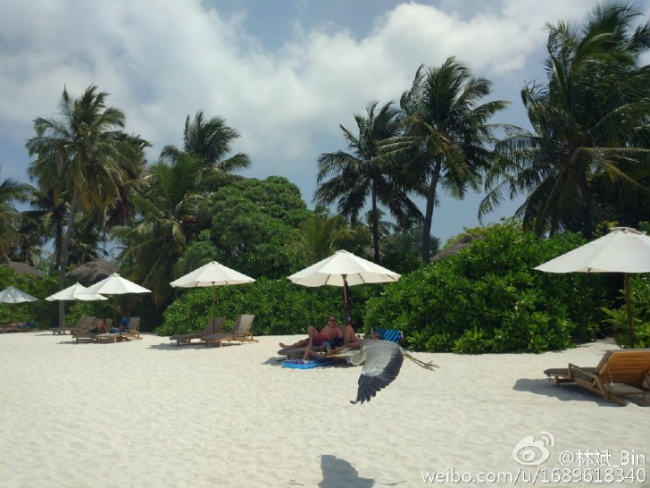 Official camera samples of Xiaomi Mi 5 revealed